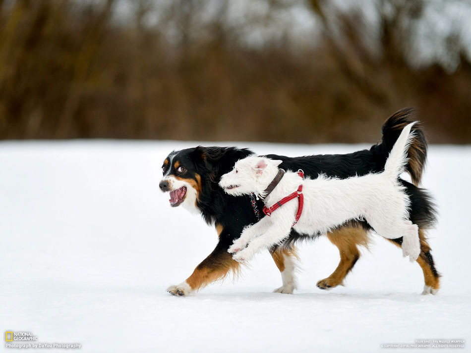 National-Geographic-16-6