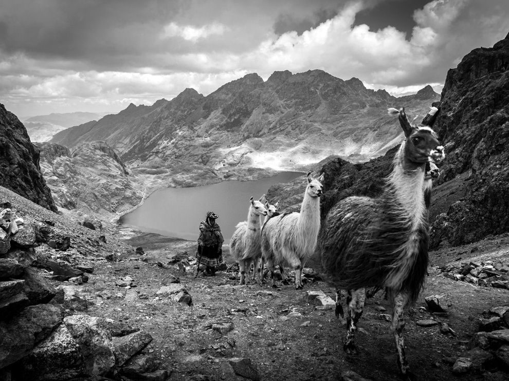 national-geographic-foto-20